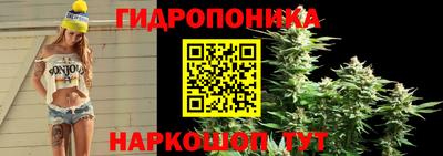 кристаллы Можга